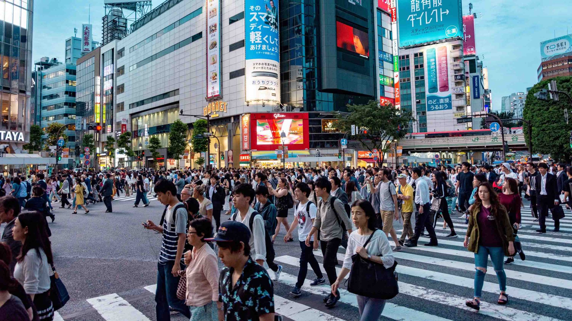 Shibuya scramble crossing, Tokyo
